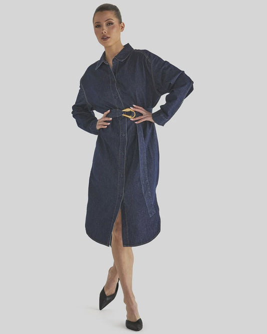 F&B~Soaring Shirt Dress