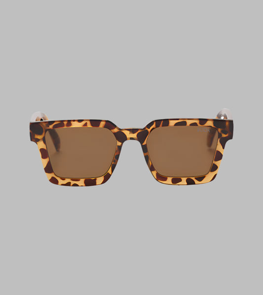 Soda Shades~ Brooklyn Tortoise